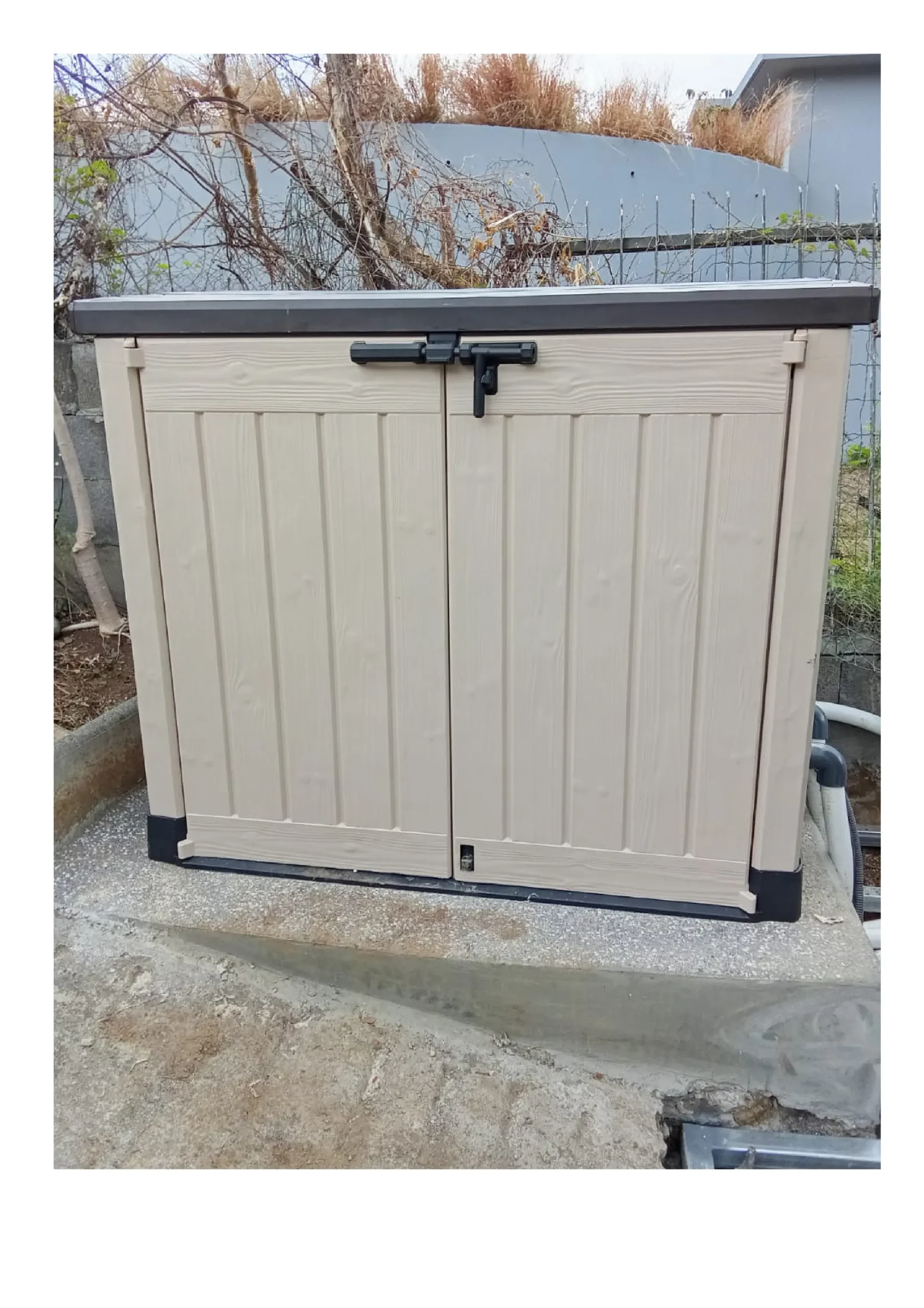 PHOTO 2025 01 14 09 34 02.jpg LOCAL scaled